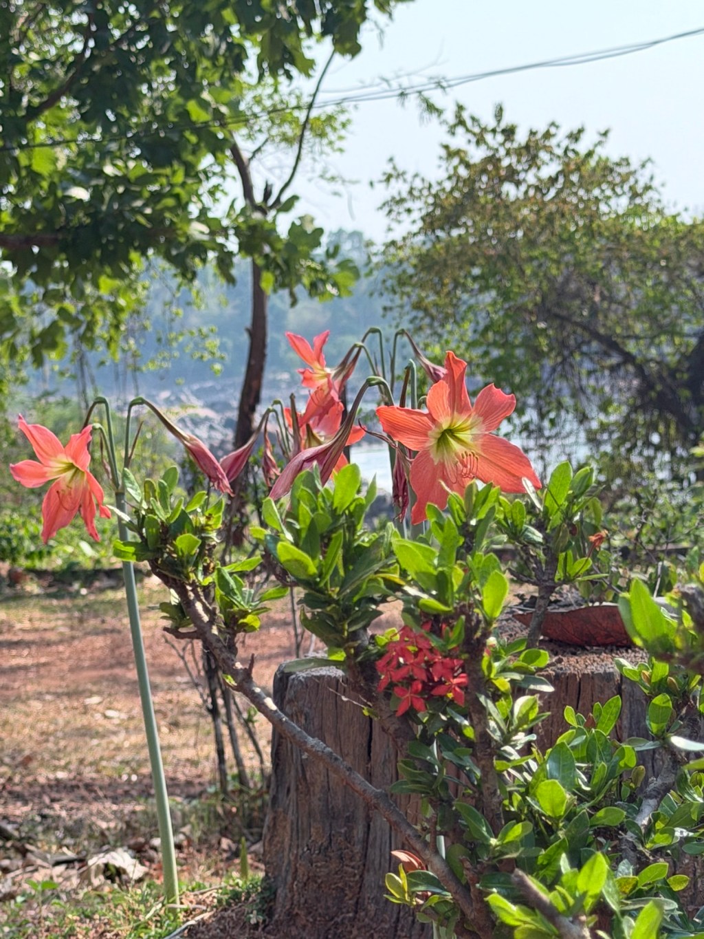 Laos 🇱🇦 mars 2026 jour 9